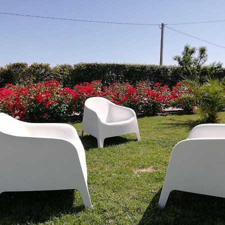 Casa Vacanze Angelica Ostra Vetere Экстерьер фото