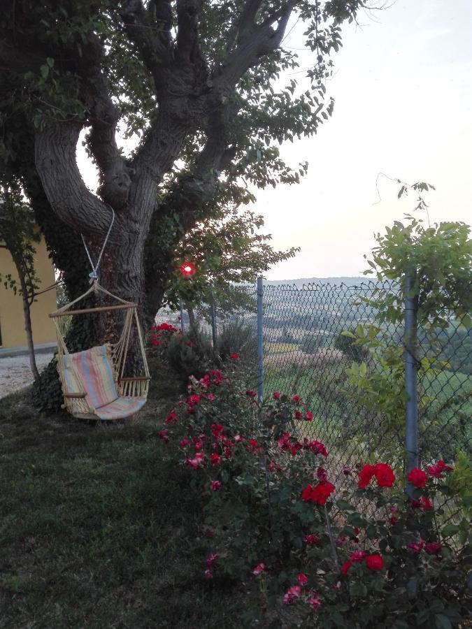 Casa Vacanze Angelica Ostra Vetere Экстерьер фото