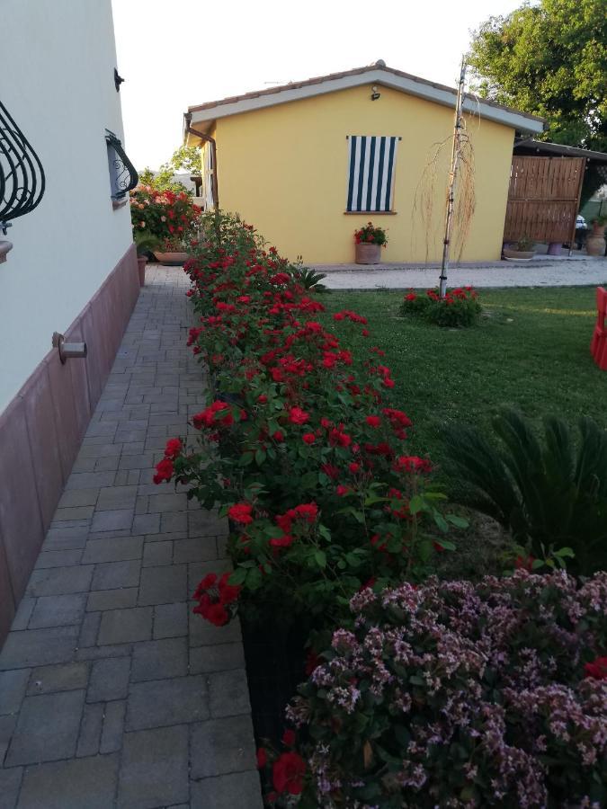 Casa Vacanze Angelica Ostra Vetere Экстерьер фото
